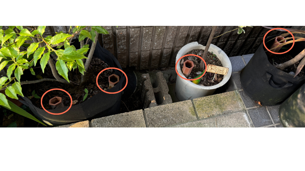自動水やり器を２個設置している大型の鉢と１個ずつ設置している鉢