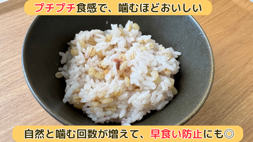 お茶碗によそった炊きたてのもち麦・雑穀ご飯。プチプチ食感で噛む回数が増え早食い防止に